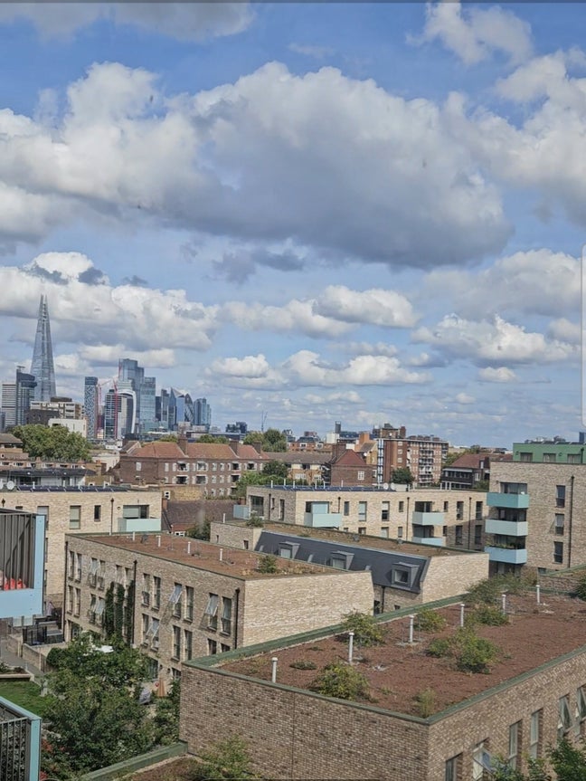 Boho Edgy Flatshare Elephant & Castle Main Photo