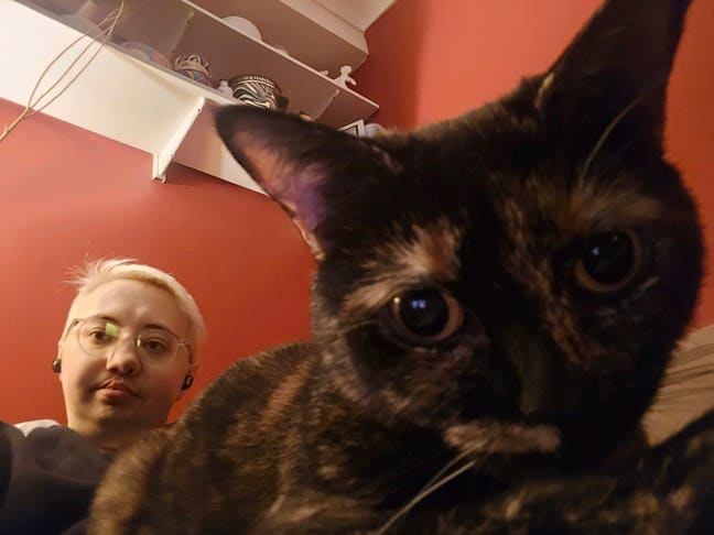 Need a home and housemate(s) for my cat and me Main Photo