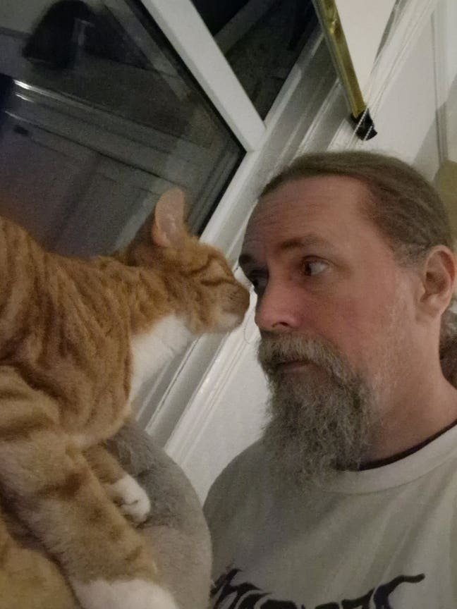 WFH guy and cat, dbl room or house with 1 person Main Photo