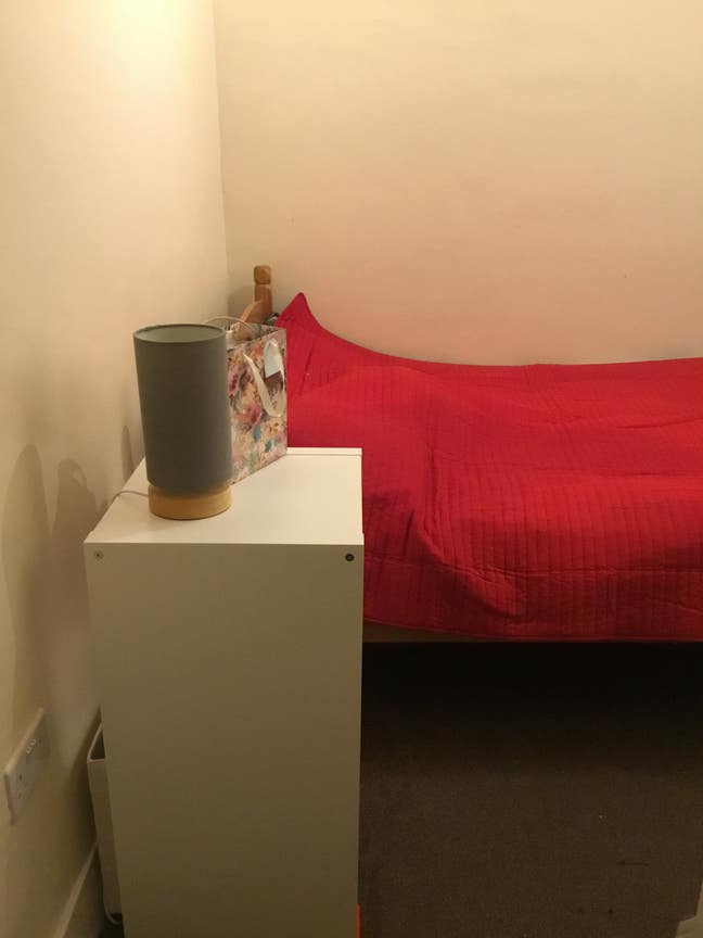 Professional female looking for a housemate  Main Photo