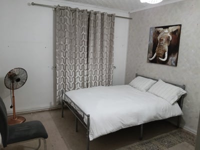 Double bedroom to rent  Main Photo
