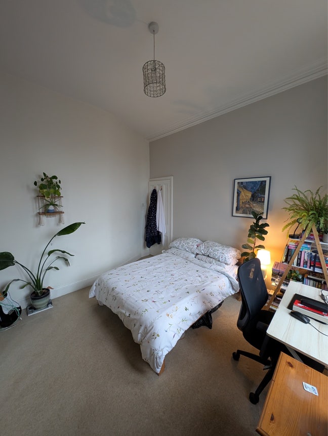 Double Room in Clifton Flat Main Photo