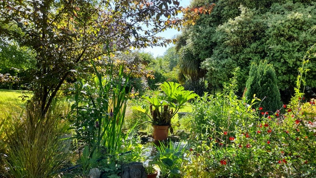 Lovely one bed flat inc all bills. Main Photo