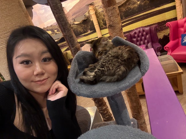 25yo professional Female seeks single room Main Photo