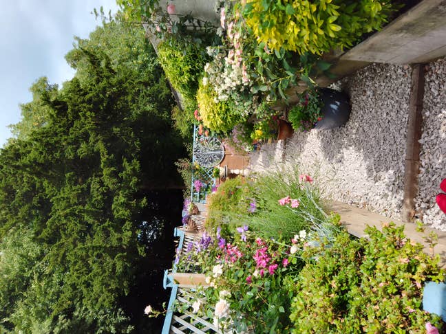 Beautiful single room with ensuite shower room. Main Photo