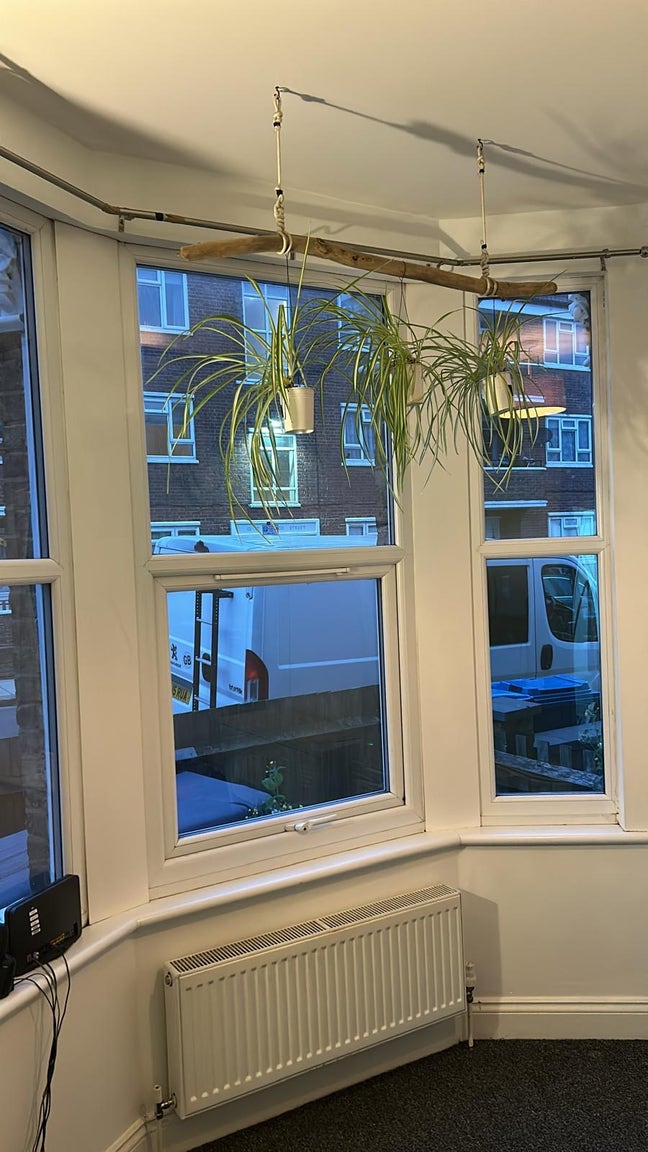 Double Room in Camberwell (SE5) Main Photo