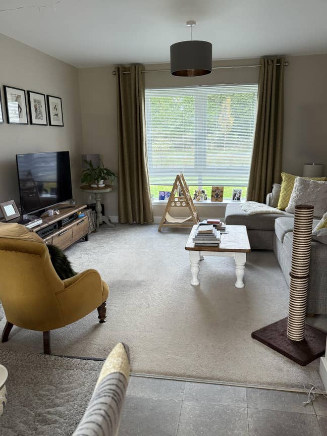 Large double ensuite room  Main Photo