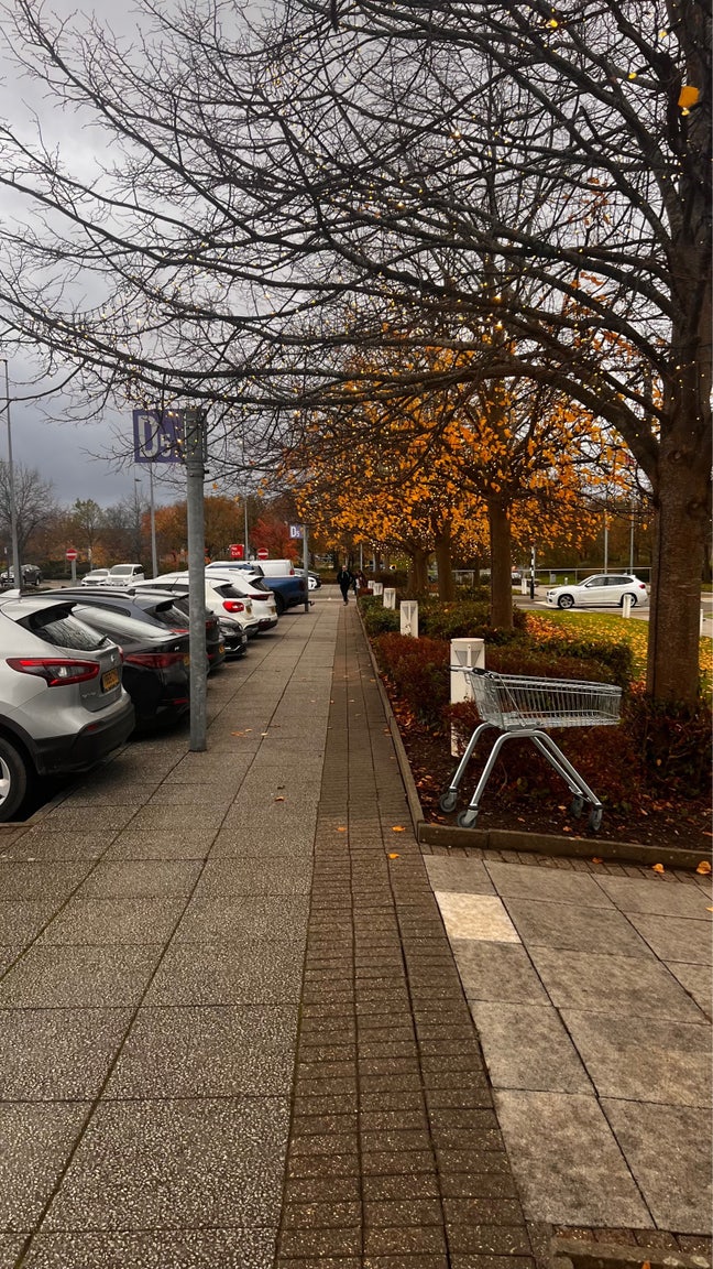 Looking for 1 room Main Photo