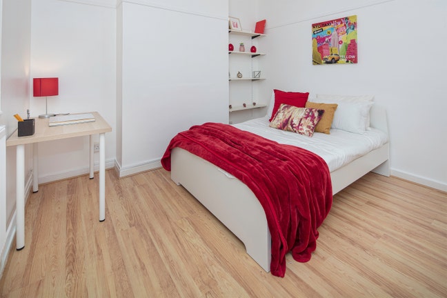 Ultra Stylish Double Room in Classy Flat Main Photo