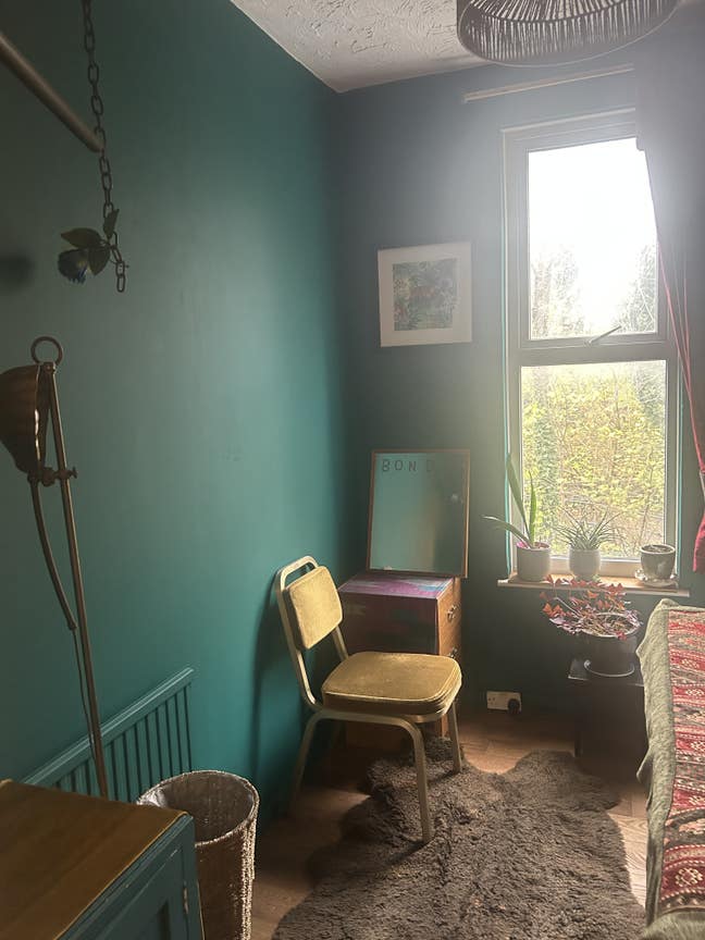 Newly furnished single room . Main Photo