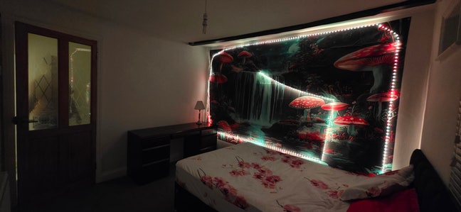 Bright Double Room – Colchester Town Centre 550£ Main Photo