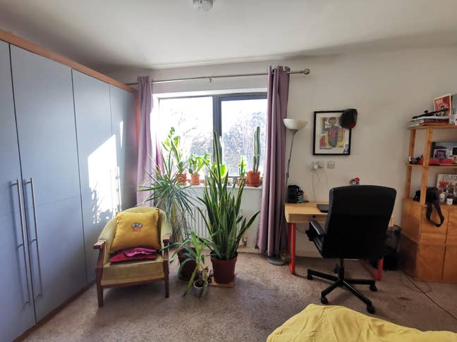🌟 Room Available for Sublet – January to June (6  Main Photo