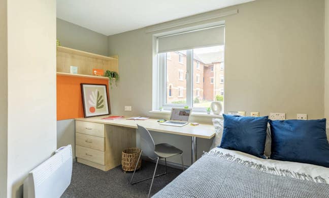 Room in Calthorpe court Main Photo