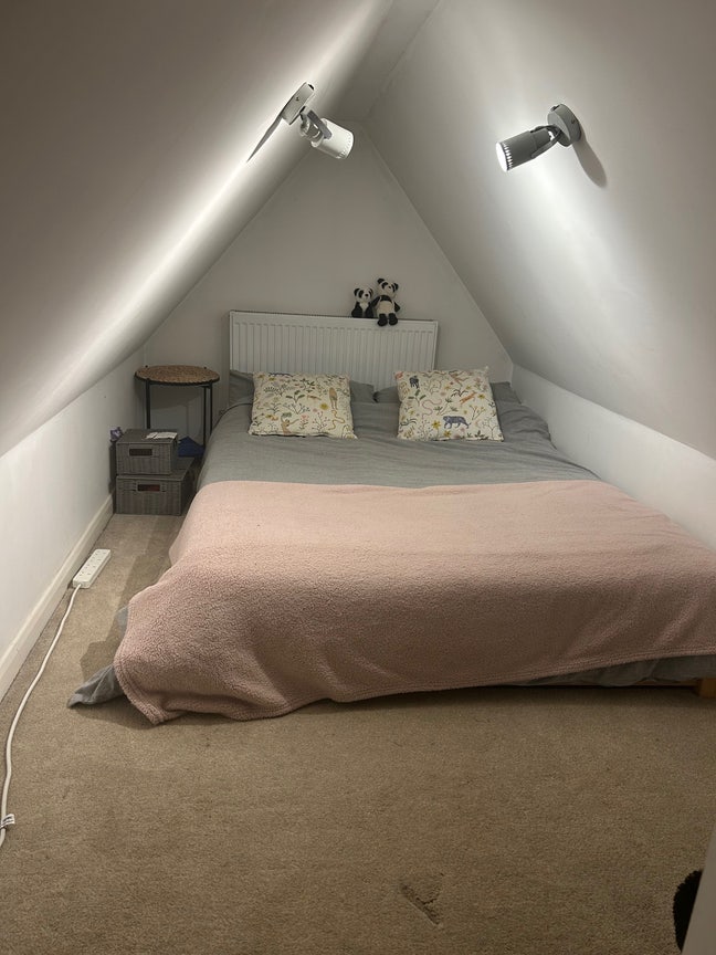 Big room in friendly Streatham house  Main Photo