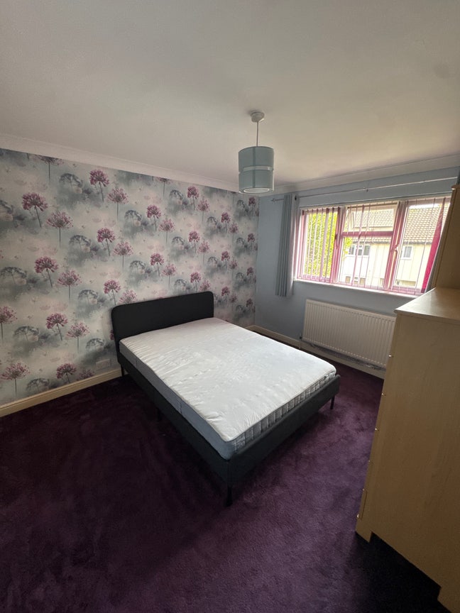Great Sized Double Room to Rent Main Photo