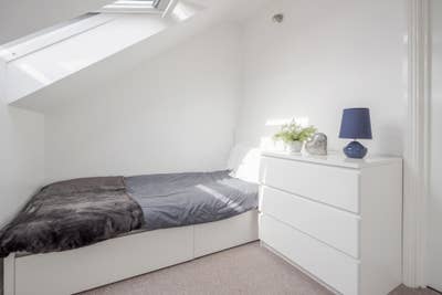 Professional Shared House Main Photo