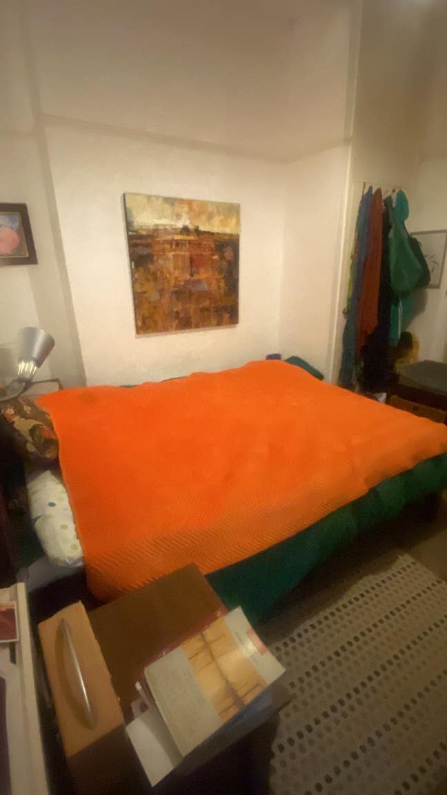 Lovely double room available in large flat  Main Photo