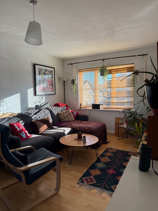 Double room in cosy flat for a cool cat  Main Photo