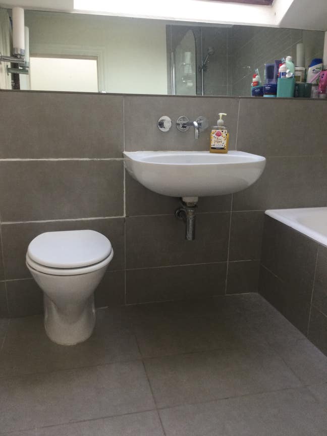 Nice and tidy female Main Photo