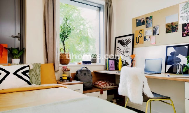 A very nice south-facing ensuite room Main Photo