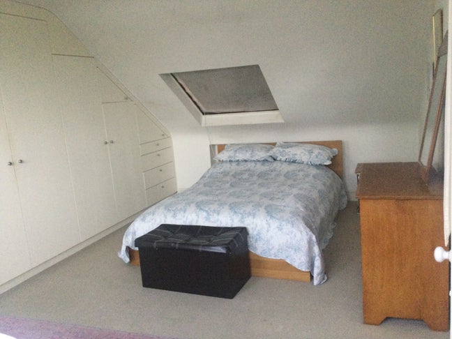 Nice and tidy female Main Photo