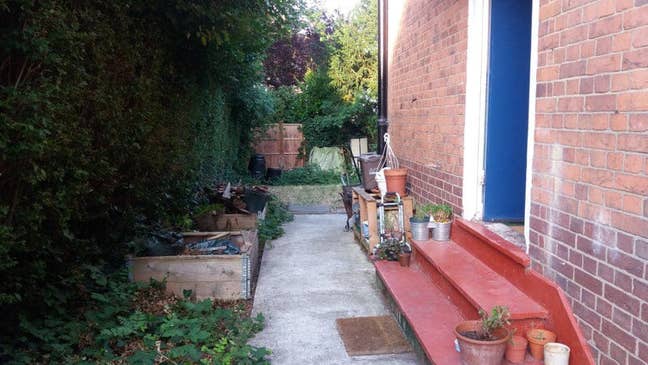 Lovely house near Hampstead Heath! Main Photo