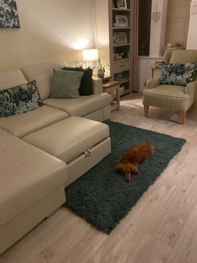 Cosy room for rent in Buckshaw Village Main Photo