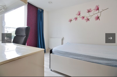 Room for Rent Main Photo