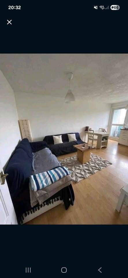 Big, bright room in friendly flat in Lee!  Main Photo