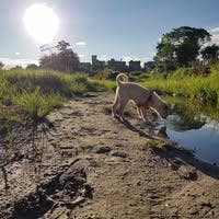 2 rooms sought by 2 males Main Photo