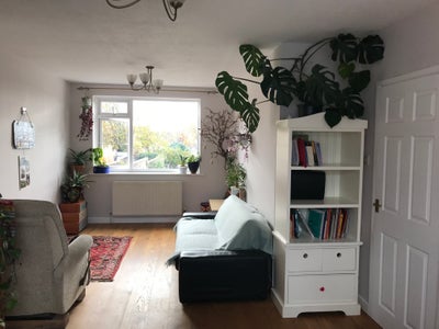 Cozy Single Room Main Photo