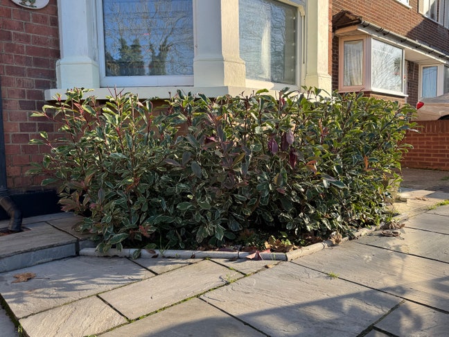 Amazing Designer Room with En-suite  Main Photo