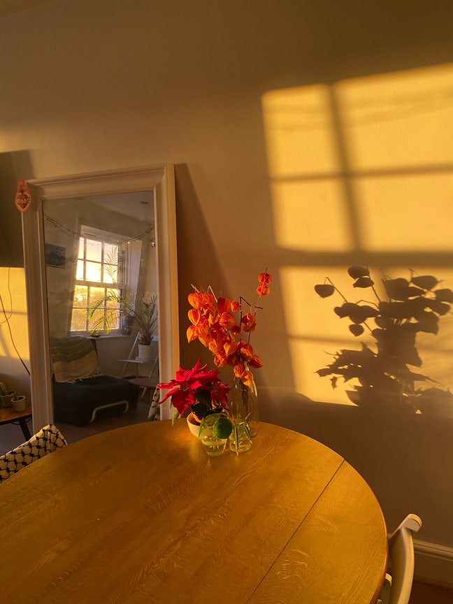 6ish week sublet in Stoke Newington Main Photo