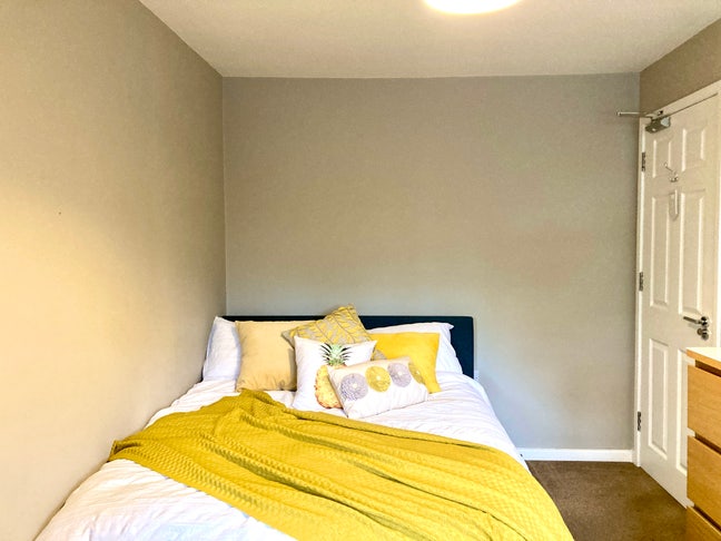 There Is Only One Way Forward & It's with Snug 💛
 Main Photo