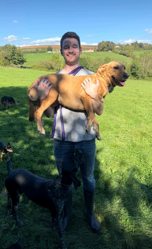 25M seeking self-contained accomodation  Main Photo