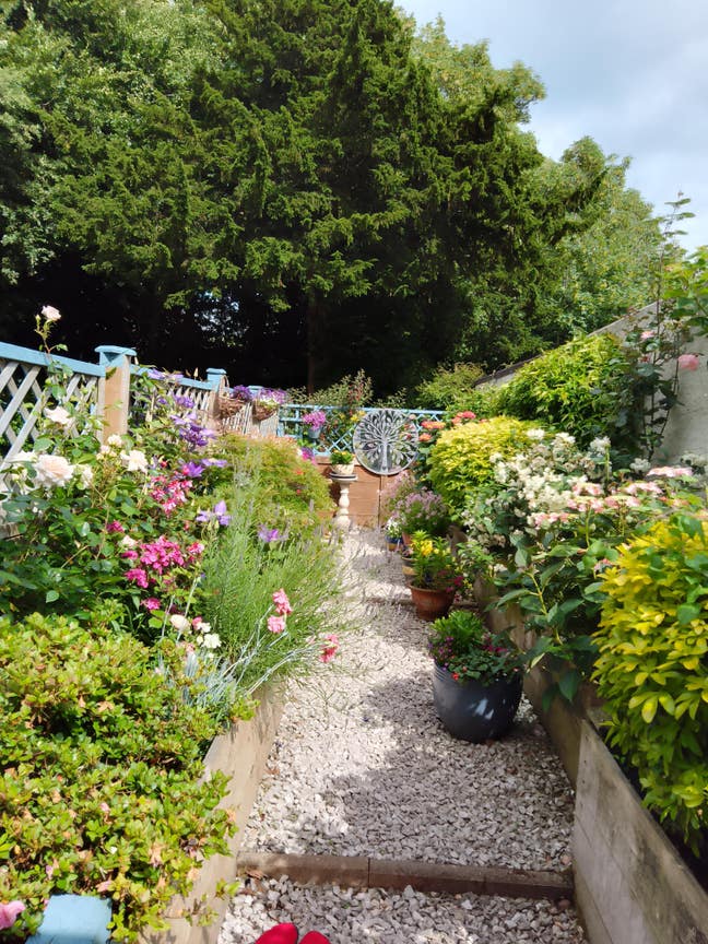 Beautiful single room with ensuite shower room. Main Photo