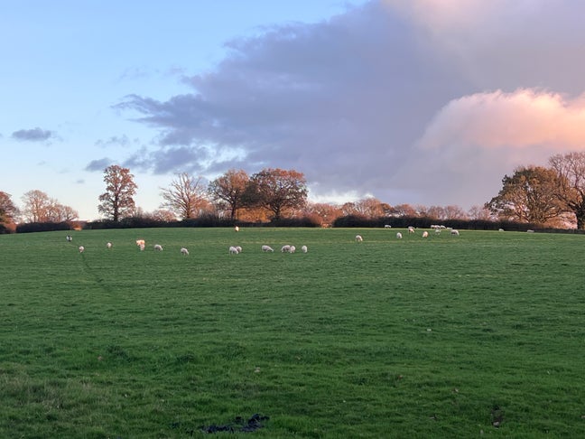 Charming Farm Cottage.  Main Photo
