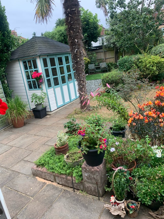 Lovely house and garden Main Photo