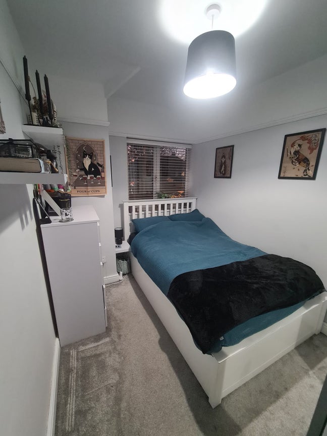 Female Professional House Share  Main Photo