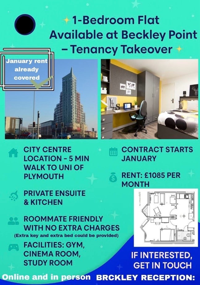One bedroom flat at Beckley point tenancy takeover Main Photo