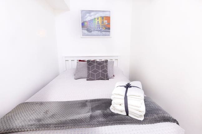 Modern, Clean, Safe, and Secure Studio w/Garden Main Photo