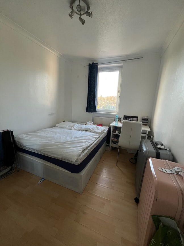 Bright Double room- Available January 5 Main Photo
