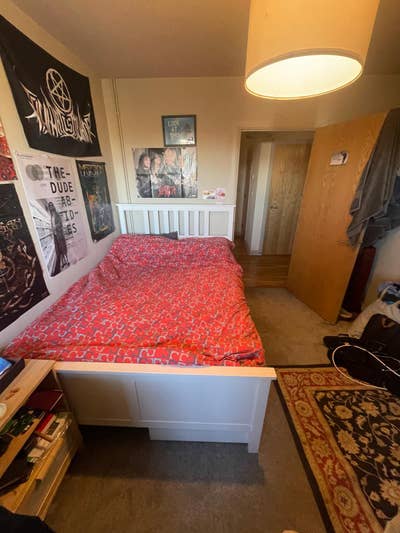 Cosy room in bright apartment in East Dulwich Main Photo