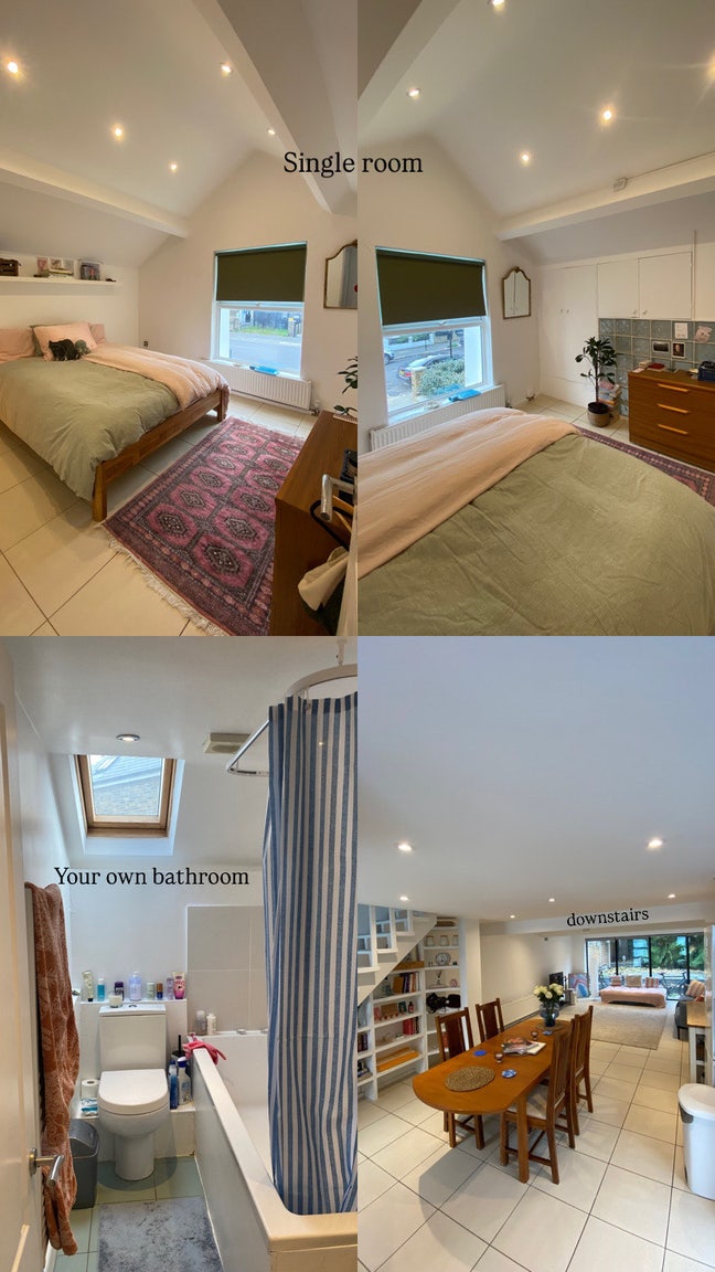 Room available Finsbury Park N4  Main Photo