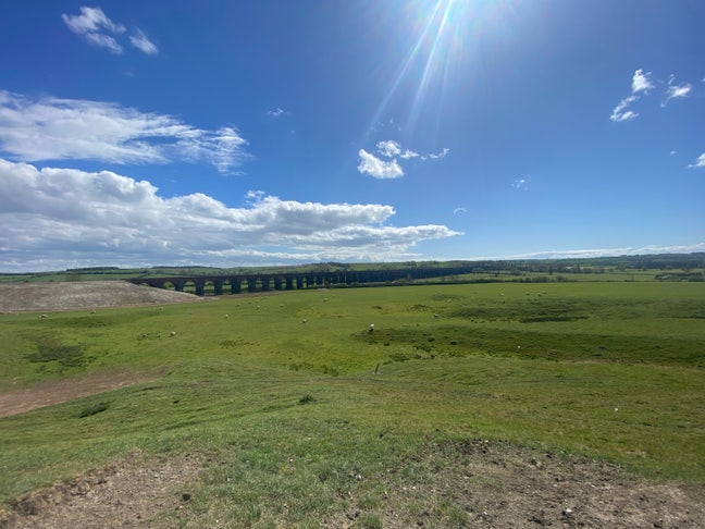 Looking for room to rent Main Photo