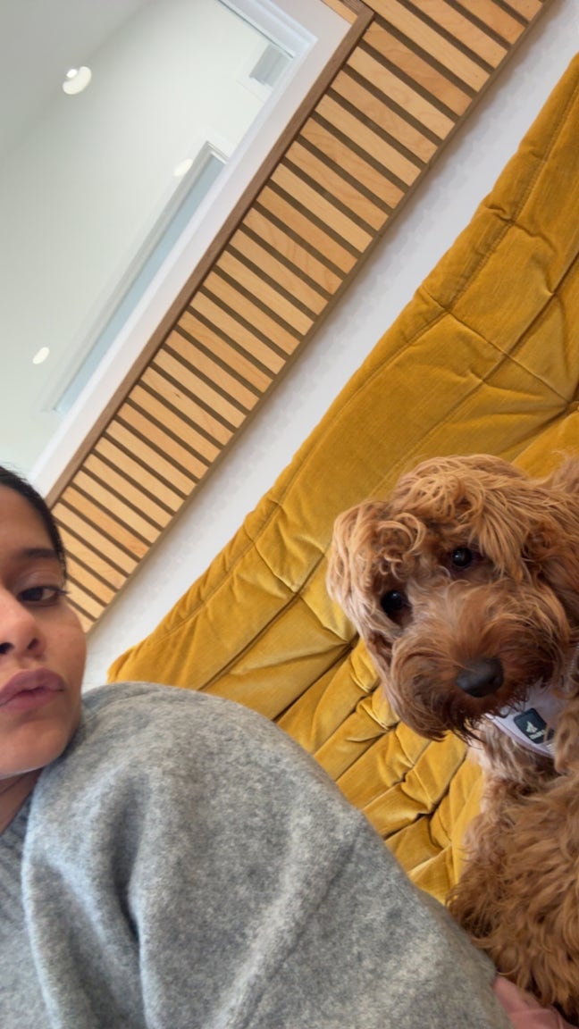 Looking for a pet friendly double room! Main Photo