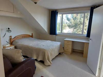 Clean Double Room, in a relaxed house  Main Photo