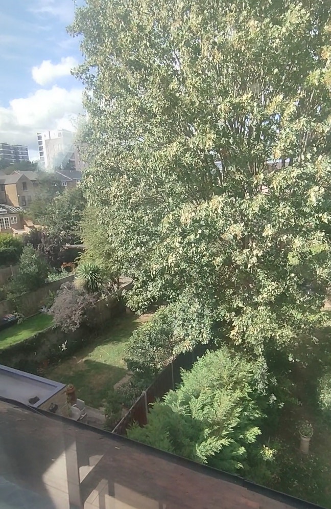 1 bedroom Furnished top  flat-detached in Sydenham Main Photo