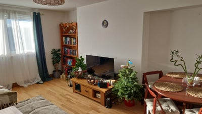 Room available in a nice and clean flat Main Photo