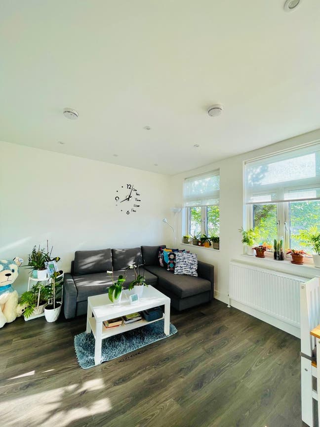 Bright Double Room in Golders Green- Available now Main Photo